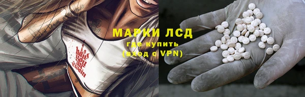 прущая мука Арсеньев