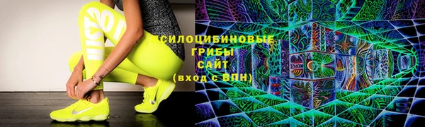 прущий лед Армянск